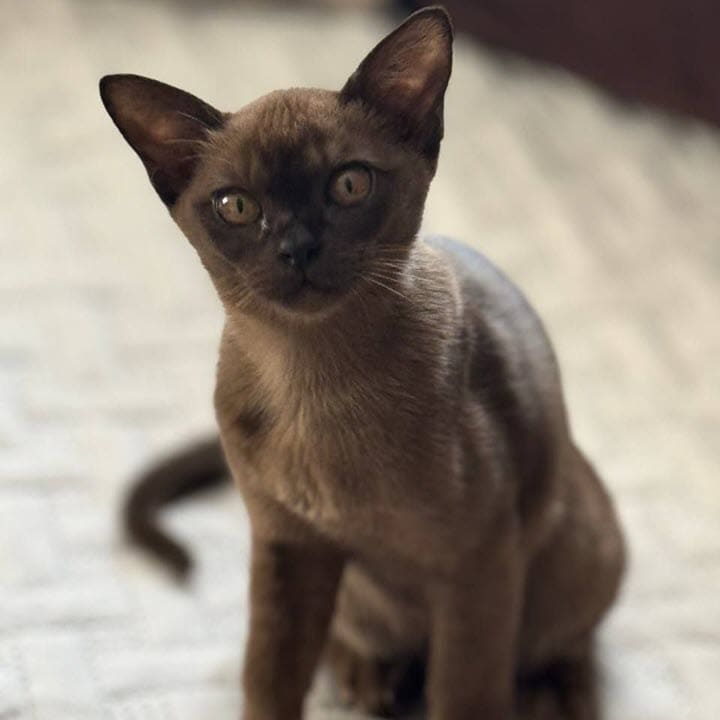 Мария