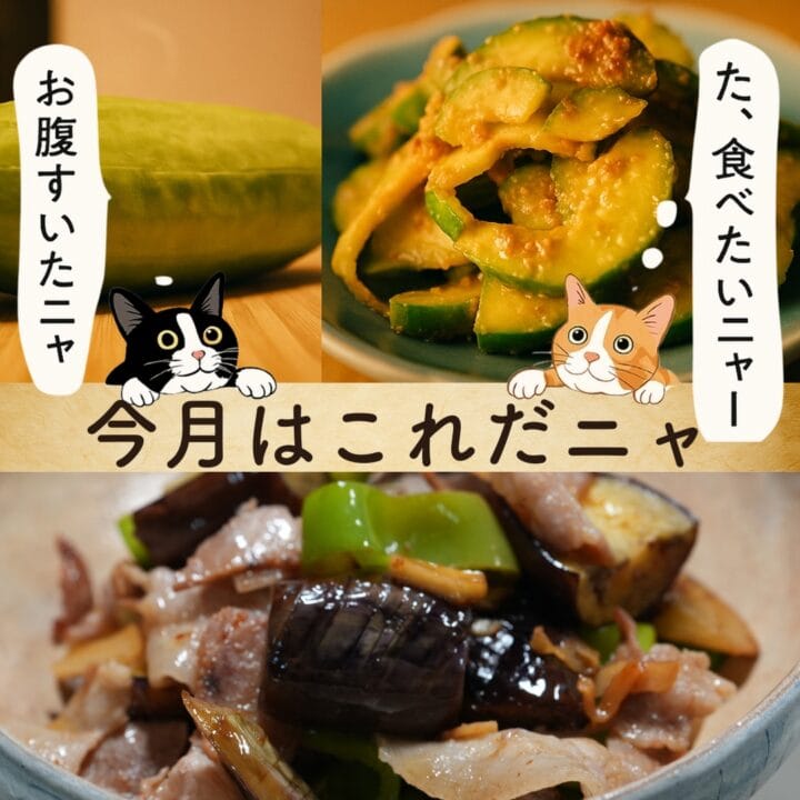 美味しそうな料理写真を二匹の猫が見ている。