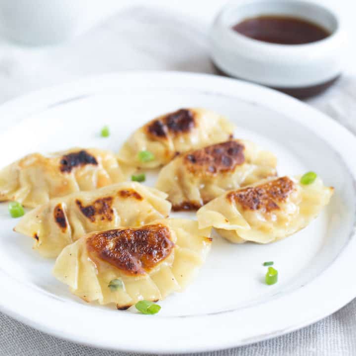 tofu veggie dumplings
