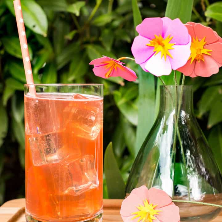 hibiscus shandy beer cocktail