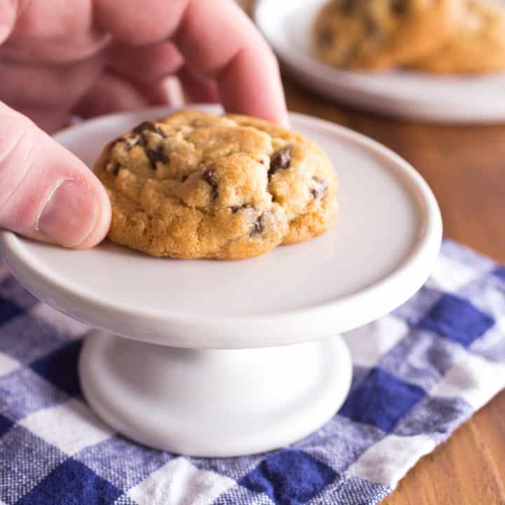 chocolate chip cookie