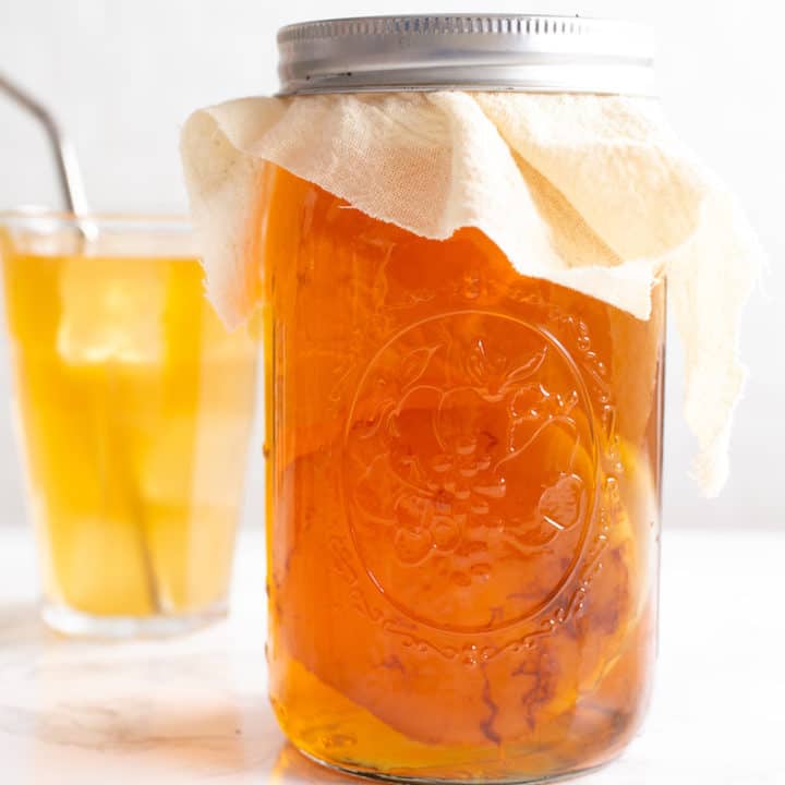 homemade kombucha and SCOBY