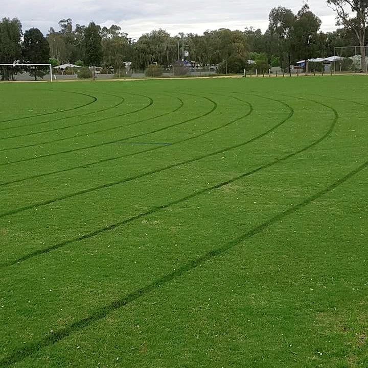 22406413 1363305120458842 3041488884056161769 n