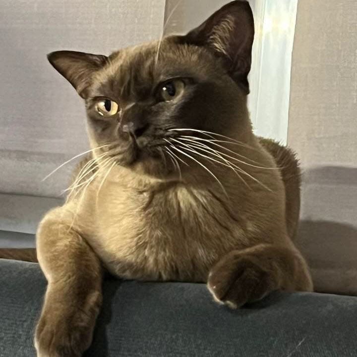 Алина М.