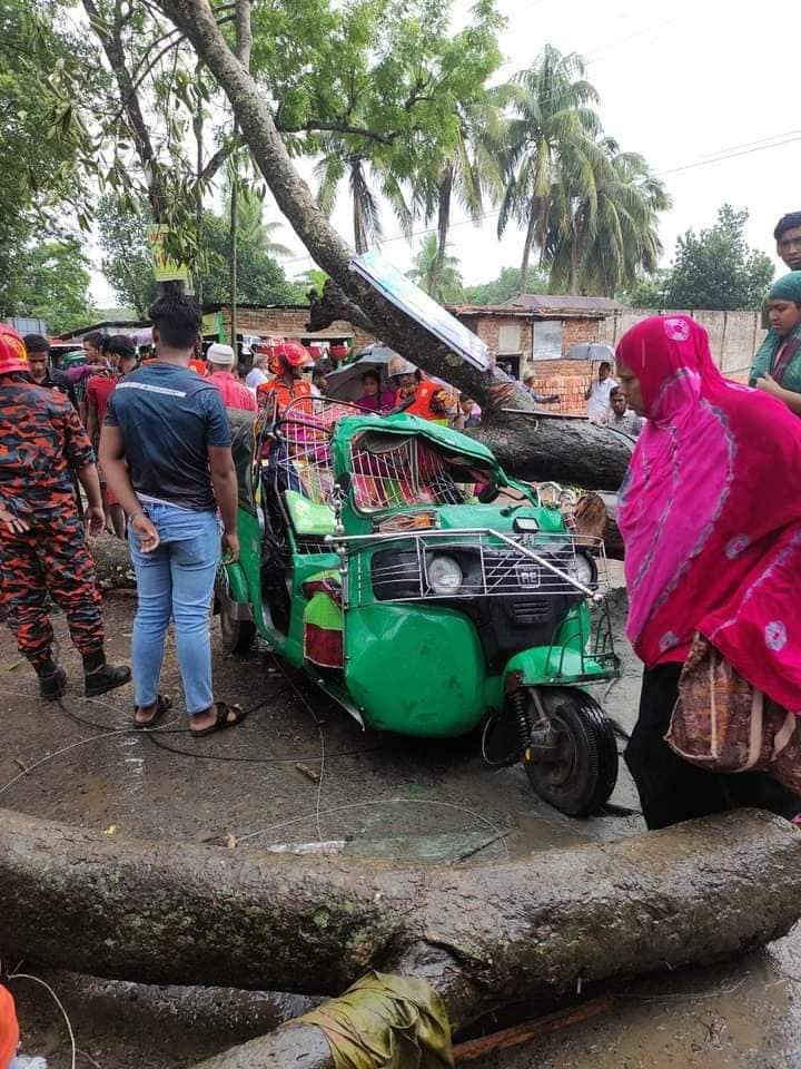 নবীনগরে কালবৈশাখী ঝড়ে গাছ পড়ে প্রাণ গেল সিএনজি চালকের