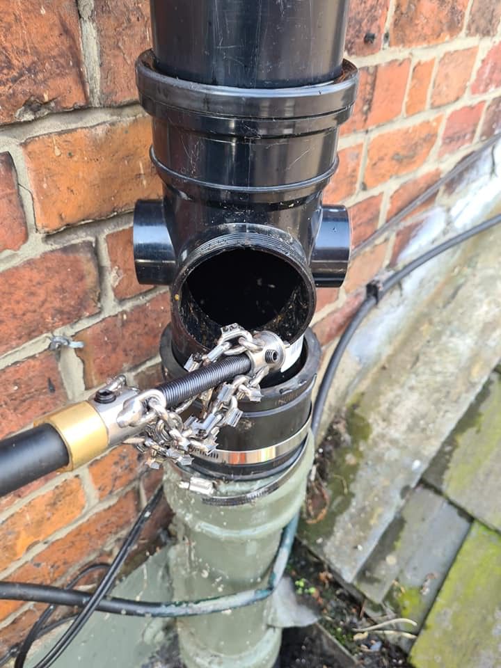 Tree roots in drain 6