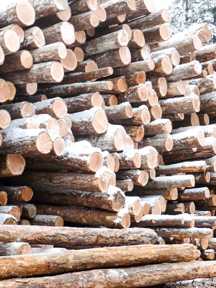 woodlogs