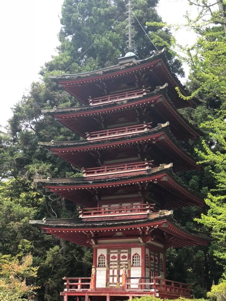 Must Visit Places: Japanese Tea Gardens, San Francisco