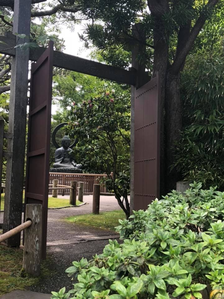 Must Visit Places: Japanese Tea Gardens, San Francisco