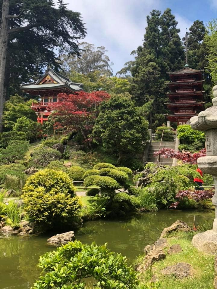 Must Visit Places: Japanese Tea Gardens, San Francisco