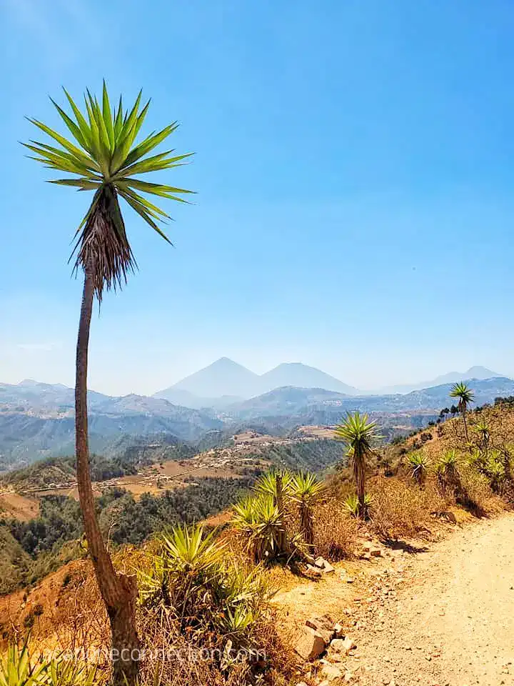 A Capone Connection Guatemala Landscape