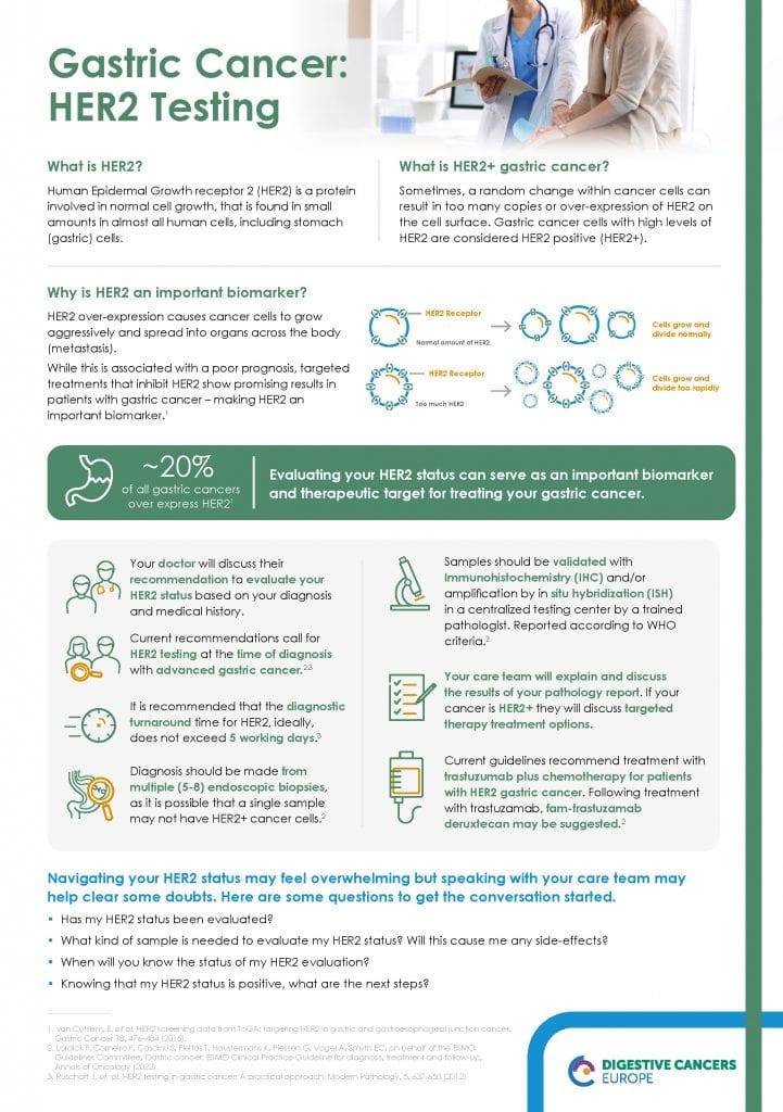 Gastric Cancer HER2 Testing Infographic
