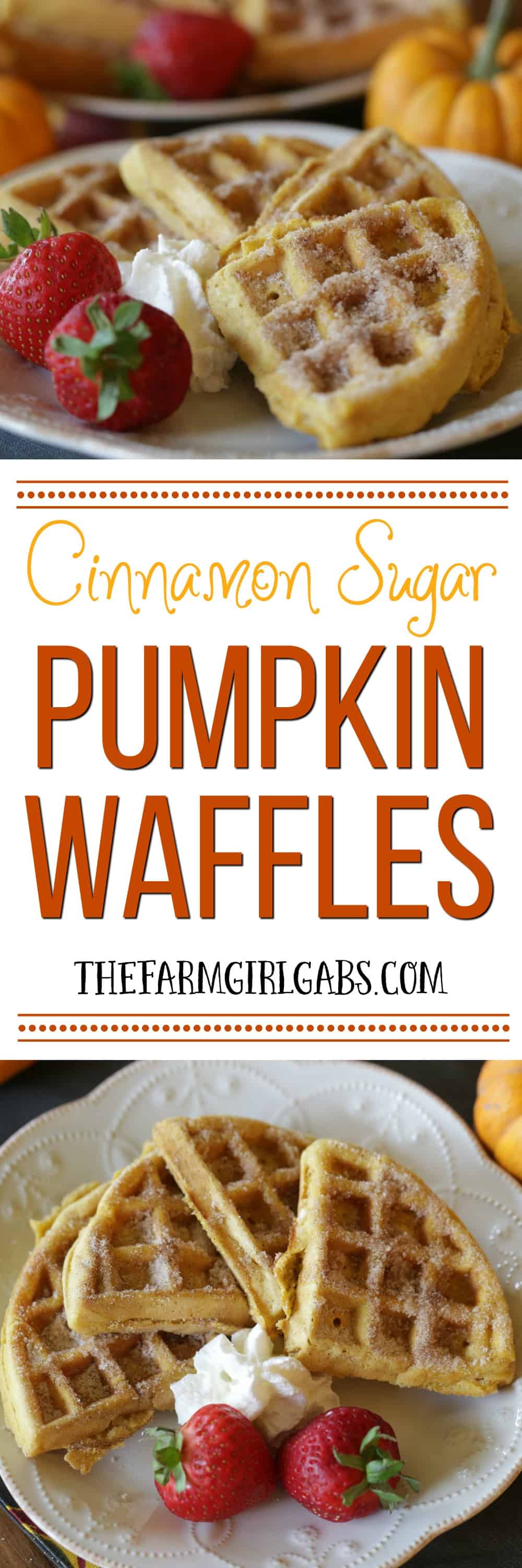 Start your morning with these delicious Cinnamon Sugar Pumpkin Waffles. This breakfast recipe is so simple to make!