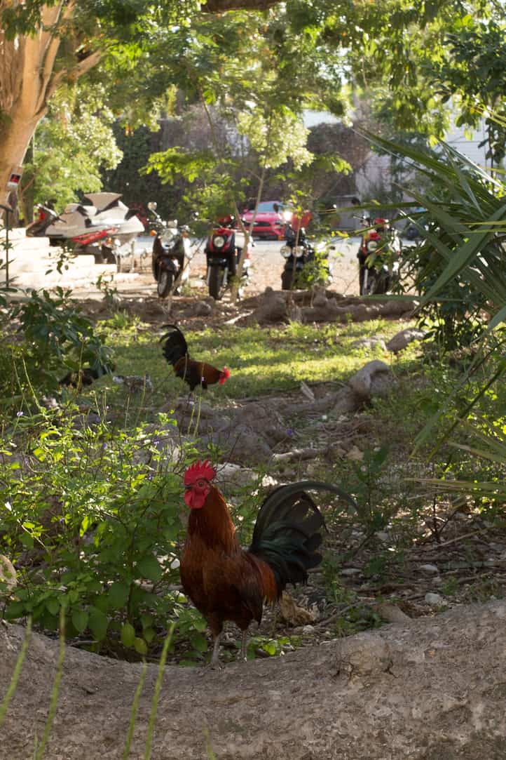 Key West restaurants and bars, via www.www.goodfoodstories.com