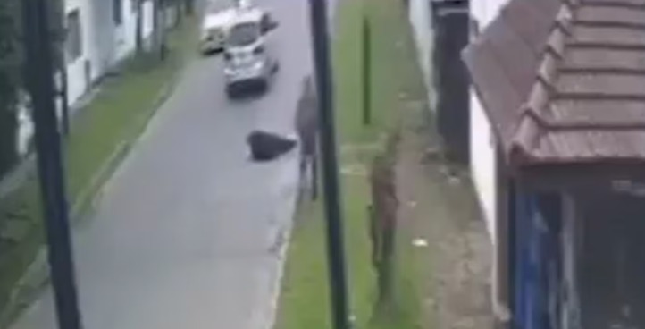 En este momento estás viendo Varela: un automovilista atropelló a una jubilada, escapó y la dejó tirada en la calle