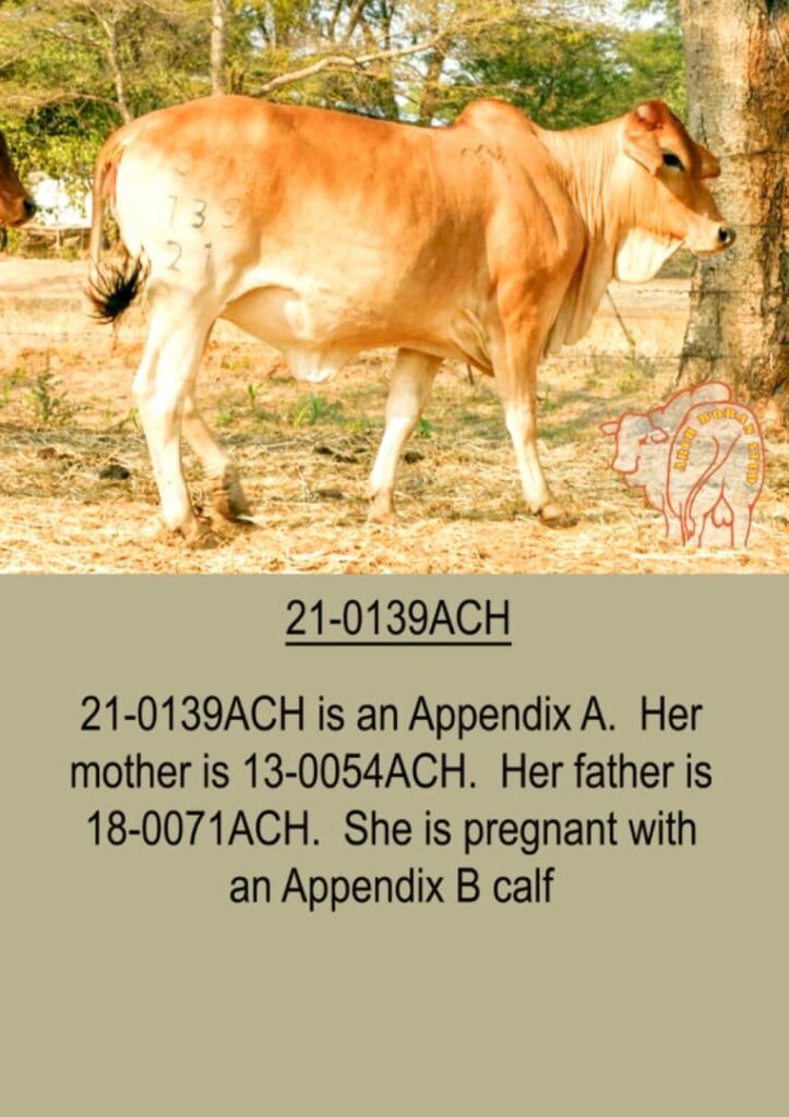 WhatsApp Image 2024-06-15 at 08.28.19 (2)