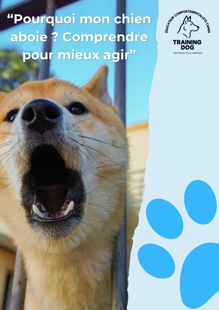 Couverture de la fiche pratique gratuite "Pourquoi mon chien aboie ?" pour comprendre les causes des aboiements et savoir comment agir.