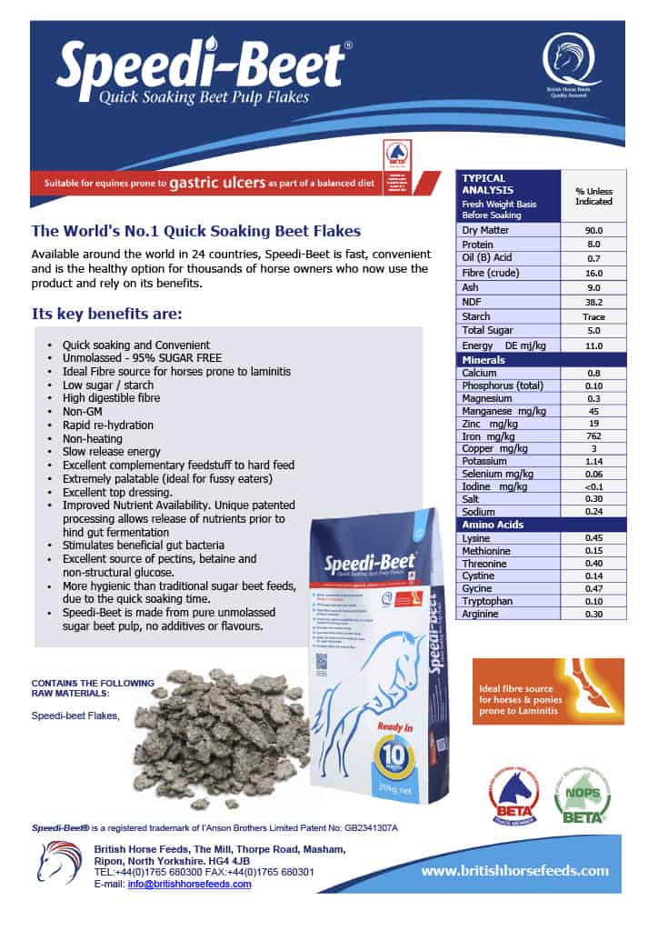 All natural beet pulp supplement for horses