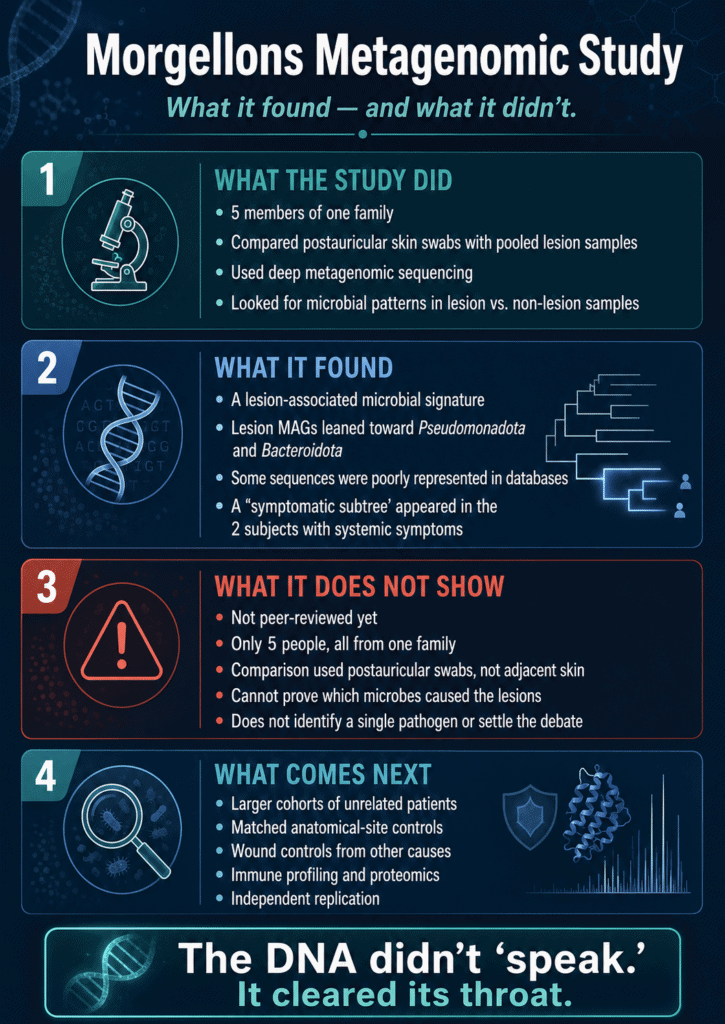 Infographic explaining what the Morgellons metagenomic study did, what it found, its limitations, and what research is needed next.