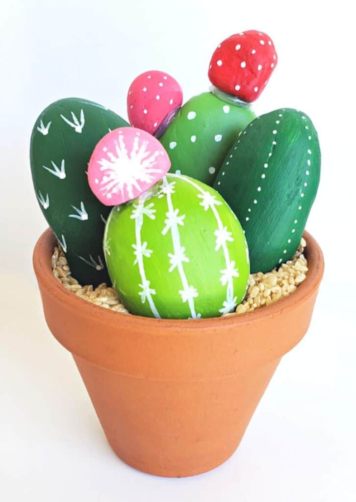 painted rock cactus garden