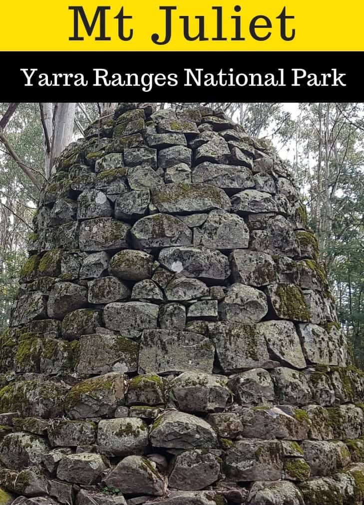 Mt Juliet Walking Track, Yarra Valley, Yarra Ranges National Park