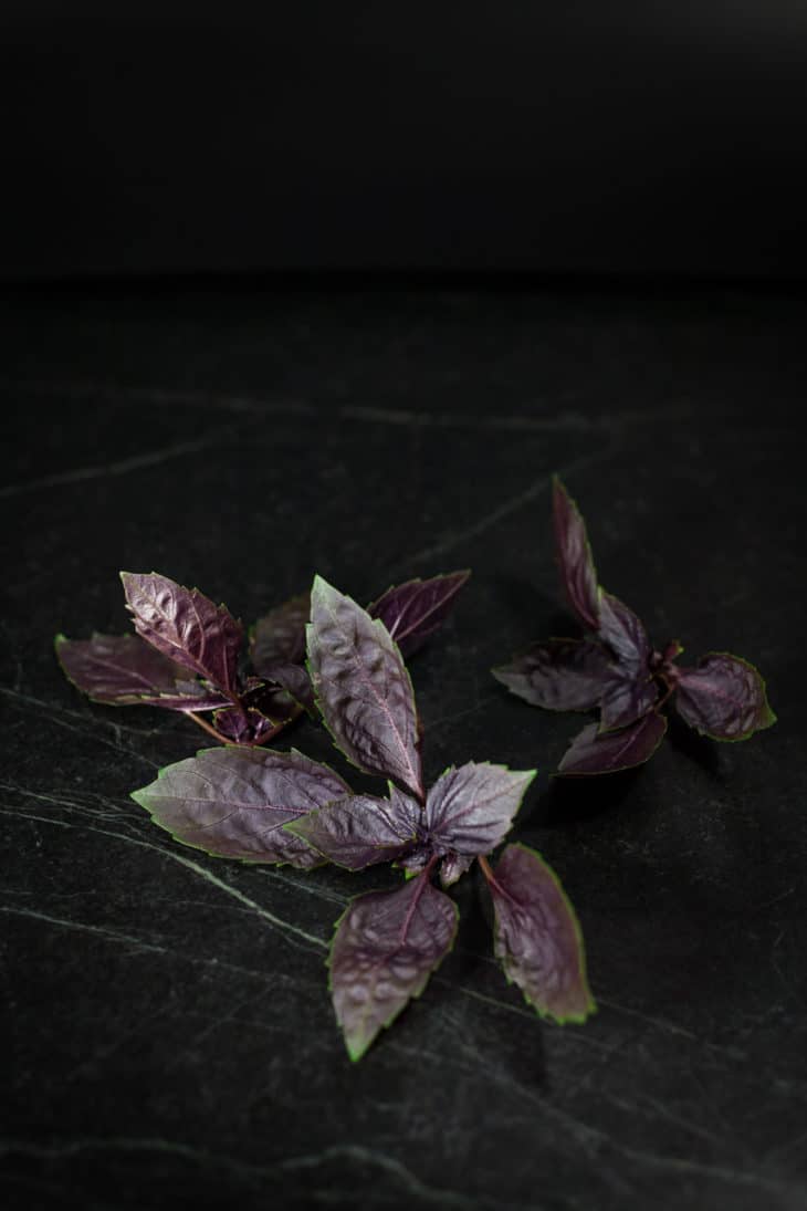 Purple Basil