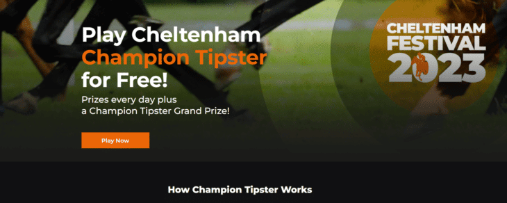 Play Cheltenham Champion Tipster