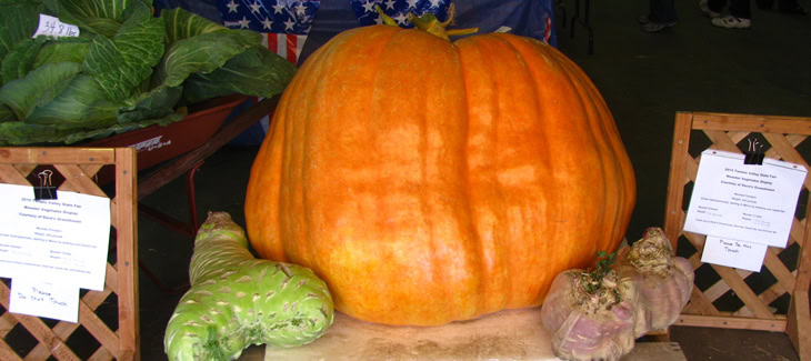 alaska_state_fair