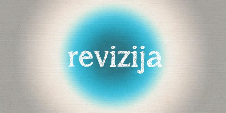 Šta je to revizija