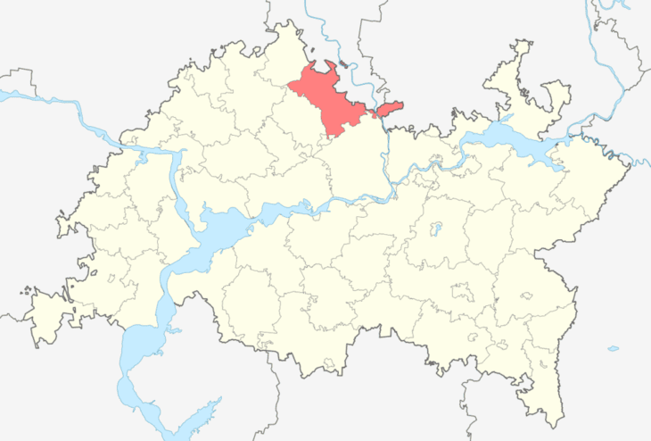 Кукморский район