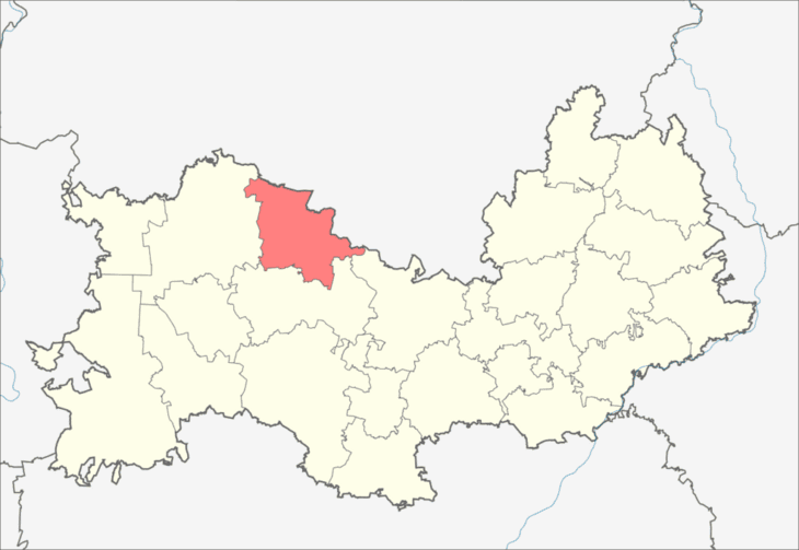 Ельниковский район