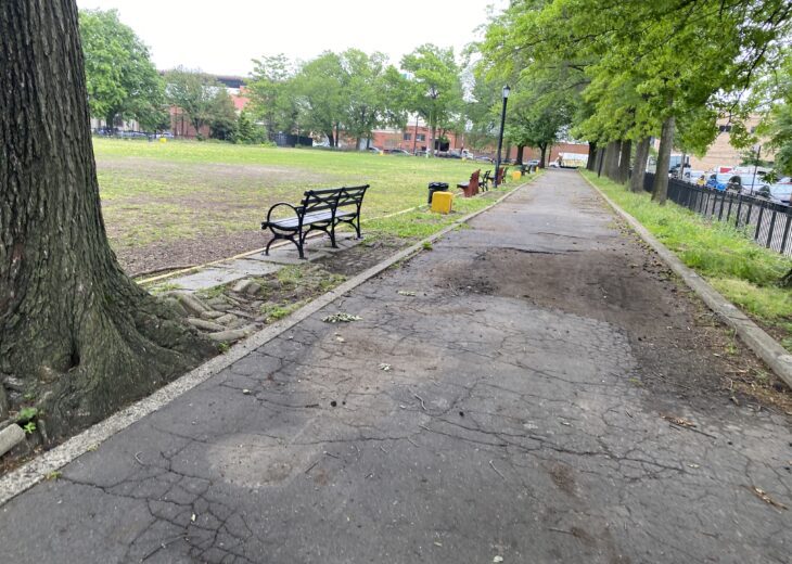 environmental site assessments nyc