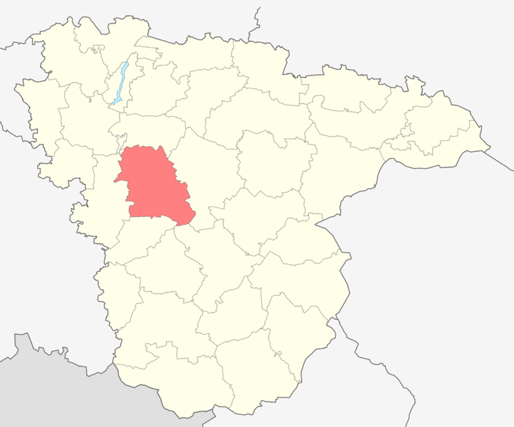 Лискинский район