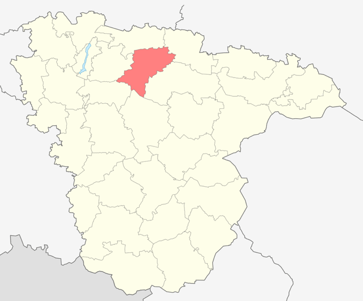 Панинский район