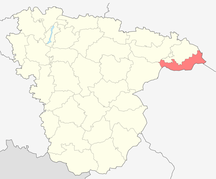 Поворинский район