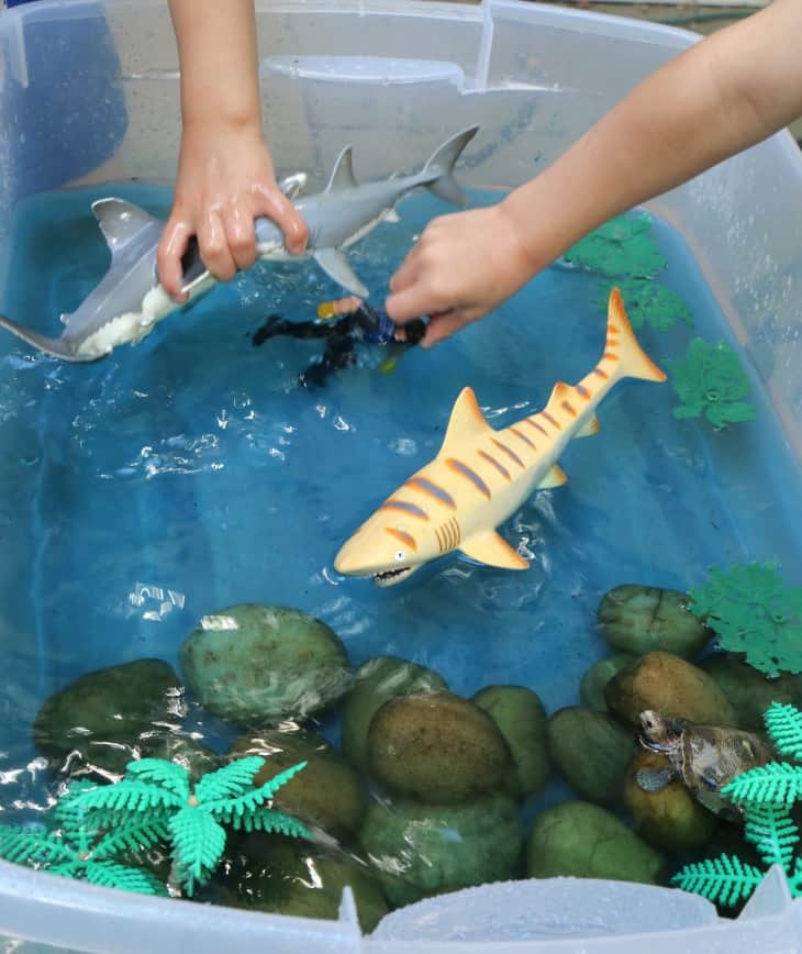 shark sensory bin