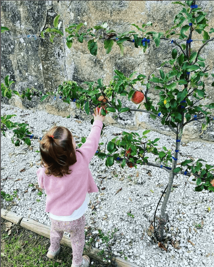 palmette hauteur enfants