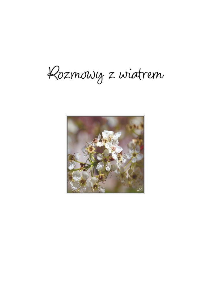 Strona z "Rozmowy z wiatrem"