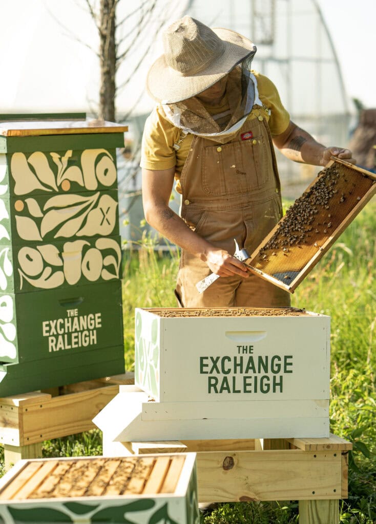 A beekeeper tends to Exchange Raleigh beehives as part of a local pollinator initiatives