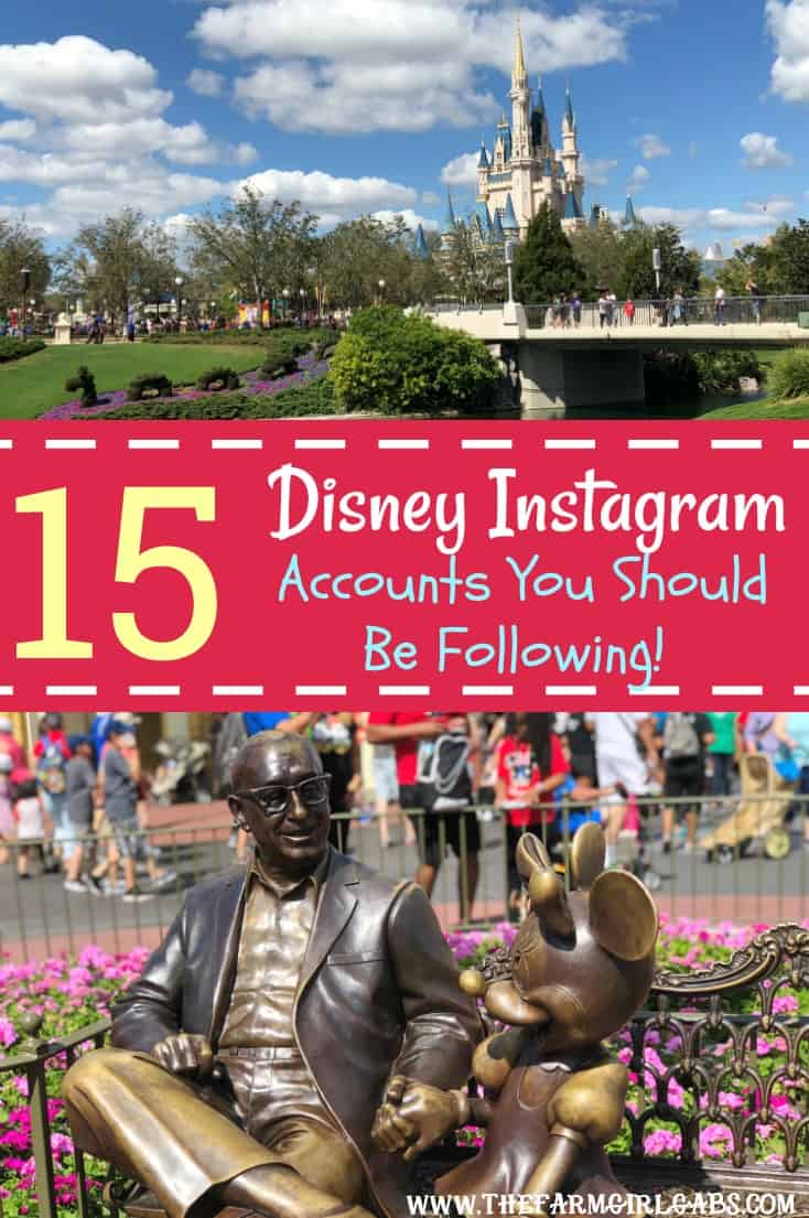 Can't get enough of the Disney Parks? Here are Instagram Disney Accounts You Should Be Following to make your day magical. #WaltDisneyWorld #Disney #DisneyParks #DisneySide #Instagram #DisneyTravel #DisneySMMC #Disneyland