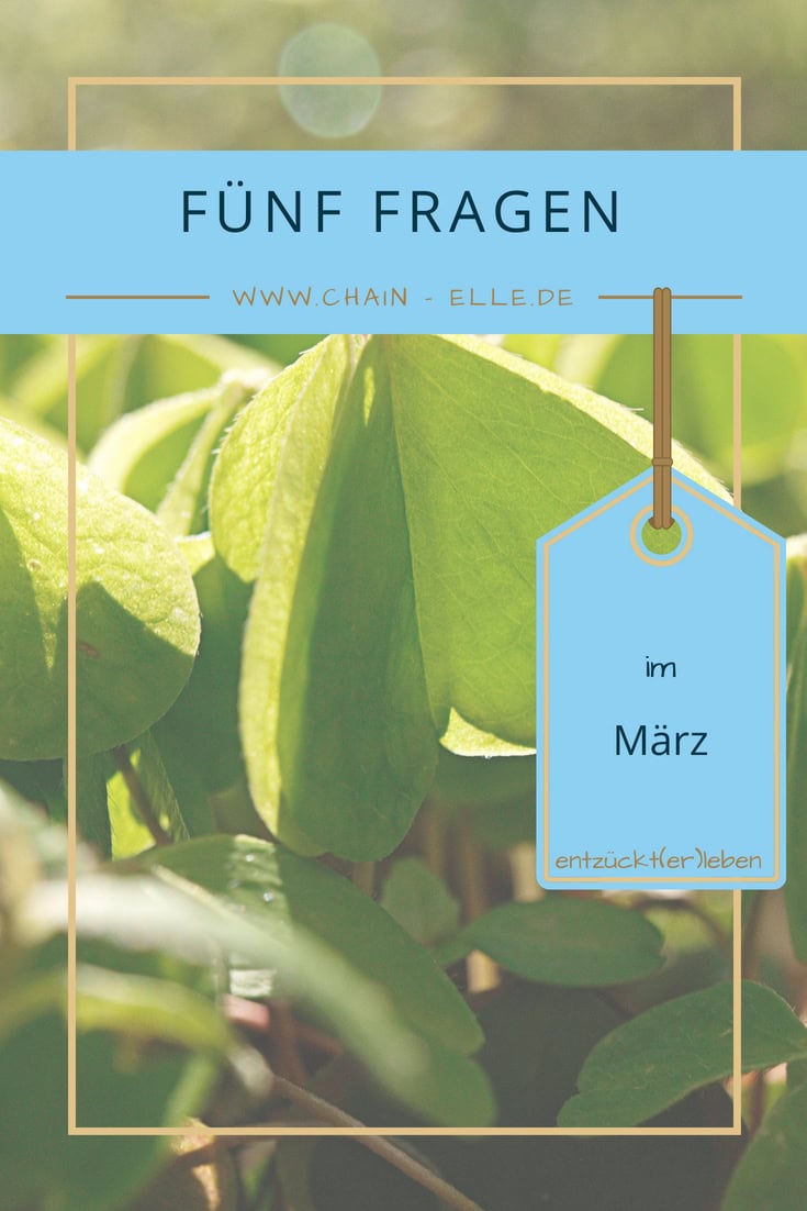 Fünf Fragen im März