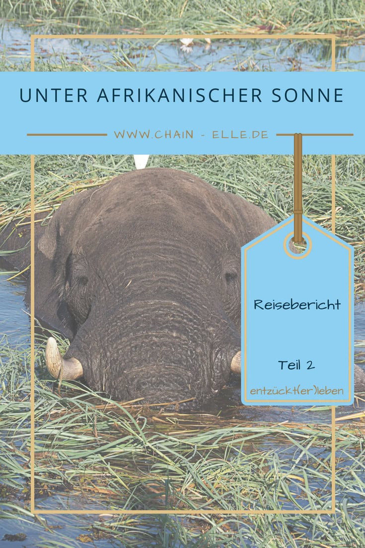 Unter afrikanischer Sonne - Teil 2