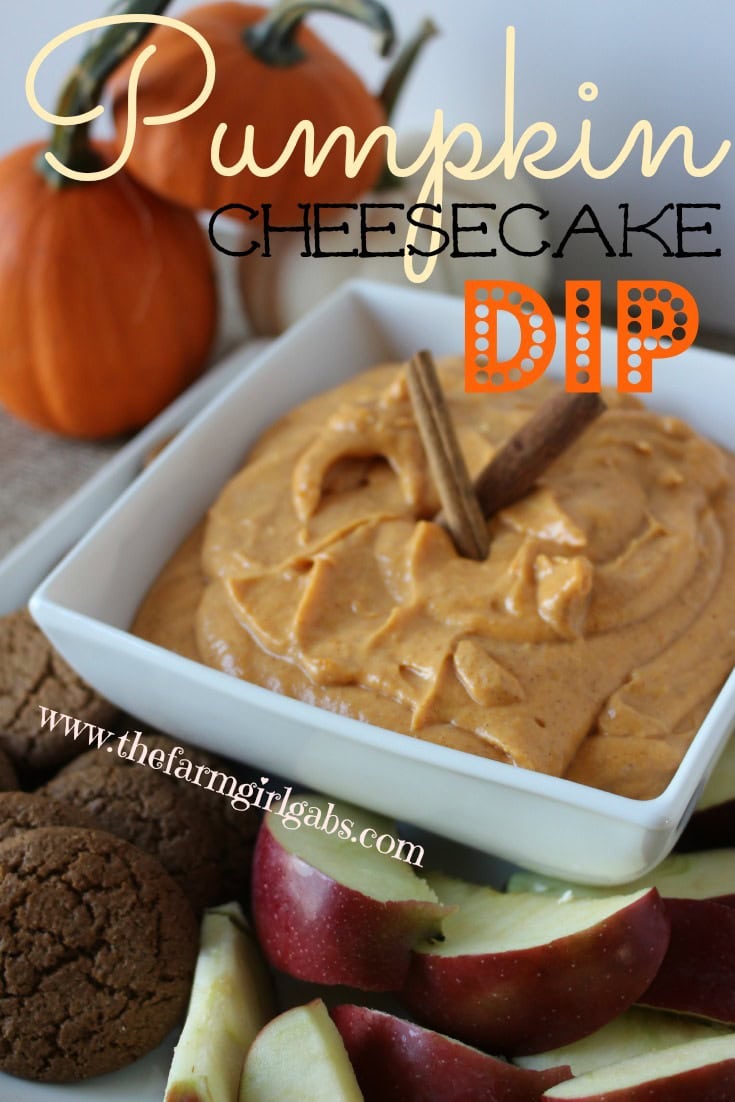 Pumpkin Cheesecake Dip from How Does Your Garden Grow? ~ www.thefarmgirlgabs.com