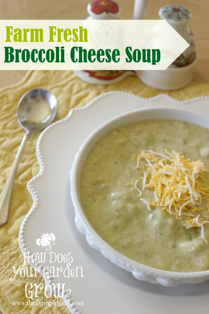 Farm Fresh Broccoli Cheese Soup from www.thefarmgirlgabs.com