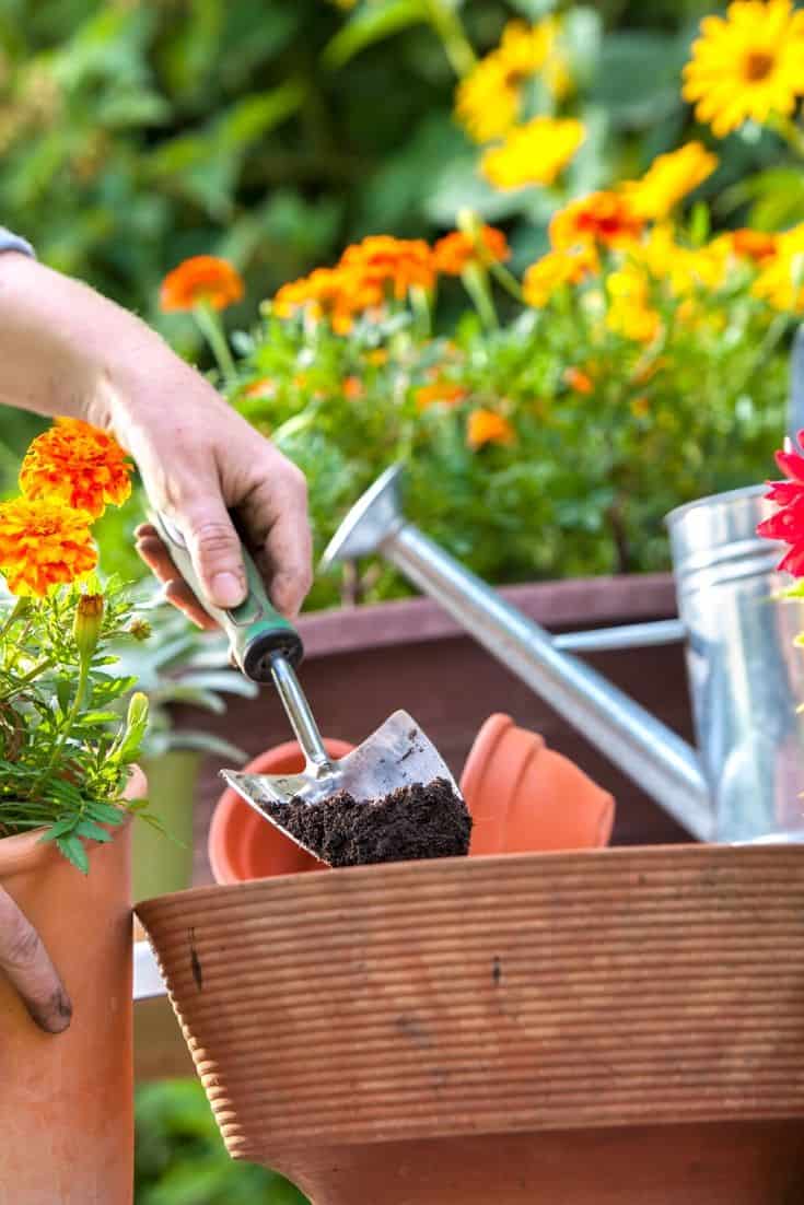 Spring is almost here. It's time to dust off those gardening gloves and tools! Check out these 10 Ways To Get Your Gardens Ready For Spring! #gardeningtips #gardenideas