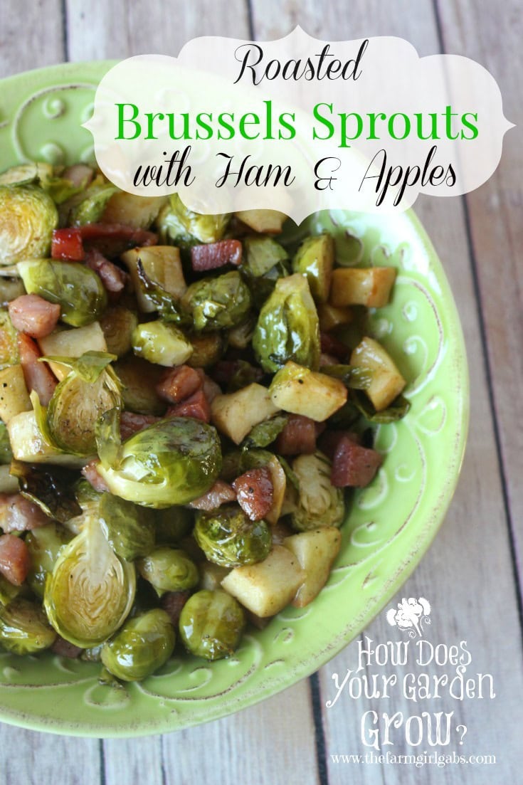 Roasted Brussels Sprouts with Ham and Apples is a quick and easy vegetable side dish. It's perfect for Thanksgiving, Christmas or any time.