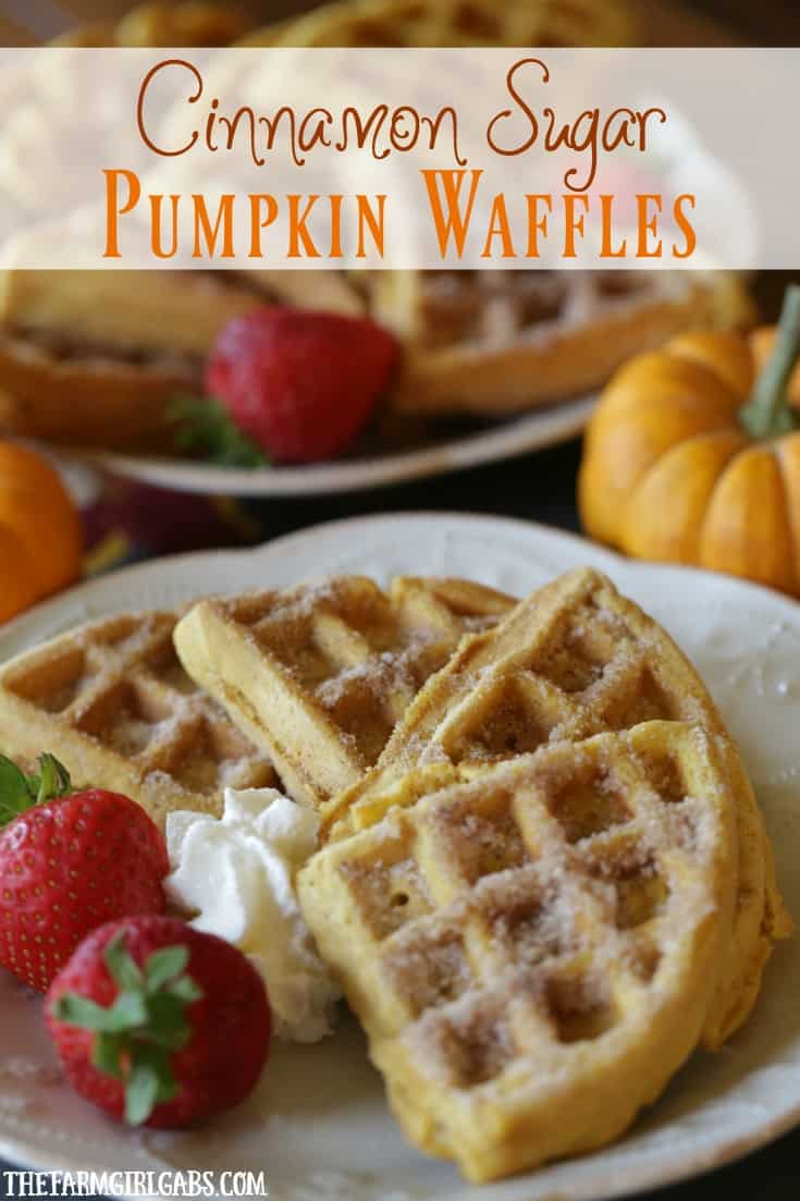 Start your morning with these delicious Cinnamon Sugar Pumpkin Waffles. This breakfast recipe is so simple to make!