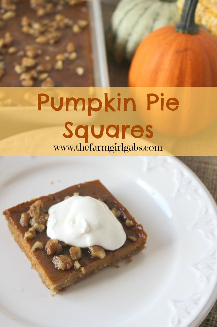 Pumpkin Pie Squares from How Does Your Garden Grow? {www.thefarmgirlgabs.com}