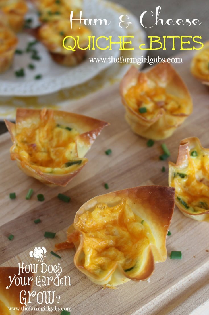 Ham & Cheese Quiche Bites is a quick and easy appetizer recipe. It's perfect for the holidays, game day, or any get-together. www.thefarmgirlgabs.com 