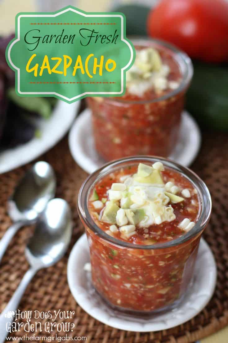 Garden Fresh Gazpacho is a delicious summer soup made with fresh garden vegetables. This recipe is super easy and a great way to use up all the vegetables from the farmer's market or your garden.